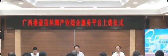 广西桑蚕茧丝绸产业综合服务平台上线仪式
