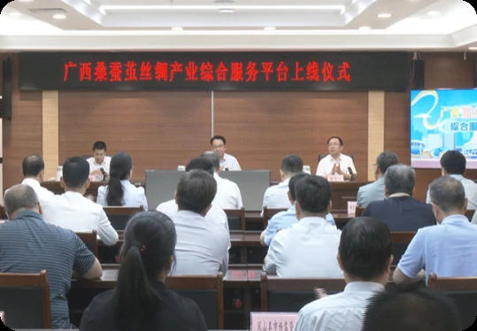 广西桑蚕茧丝绸产业综合服务平台上线仪式